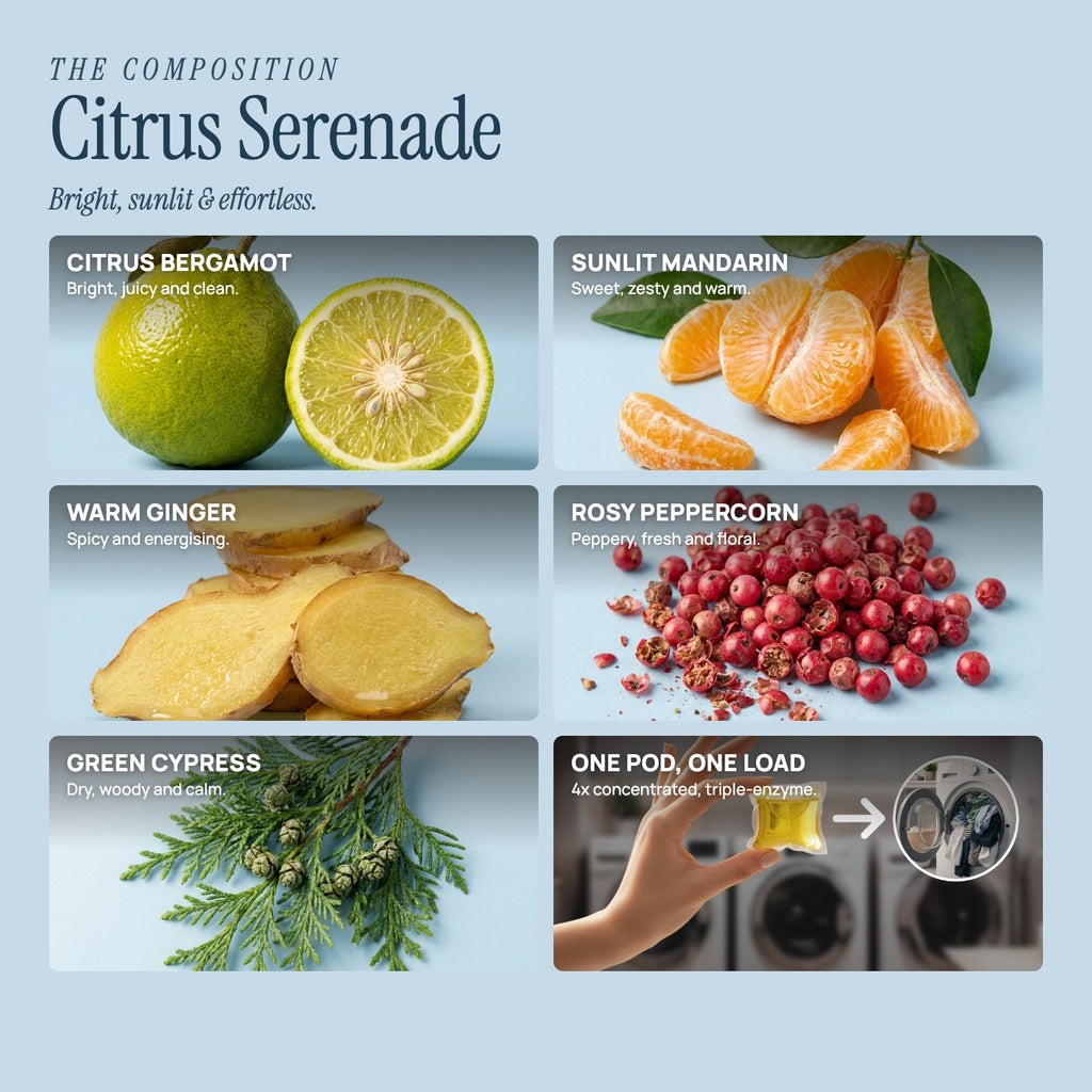 Citrus Serenade composition: bergamot, mandarin, ginger, rosy peppercorn, cypress